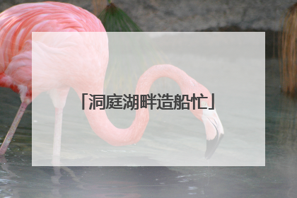 洞庭湖畔造船忙
