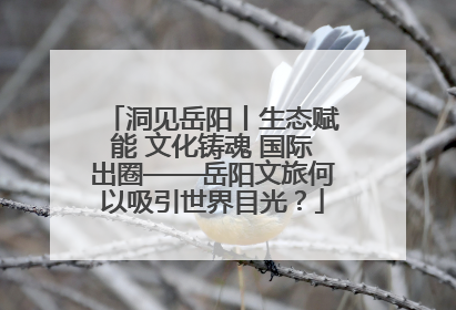 洞见岳阳丨生态赋能 文化铸魂 国际出圈——岳阳文旅何以吸引世界目光？