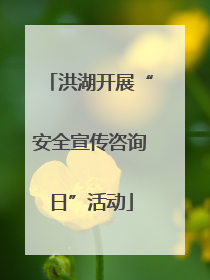 洪湖开展“安全宣传咨询日”活动