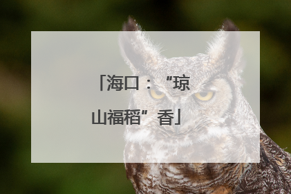 海口：“琼山福稻”香