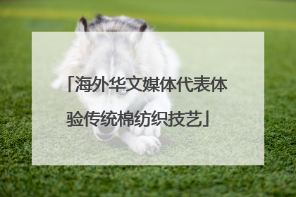 海外华文媒体代表体验传统棉纺织技艺