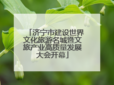 济宁市建设世界文化旅游名城暨文旅产业高质量发展大会开幕