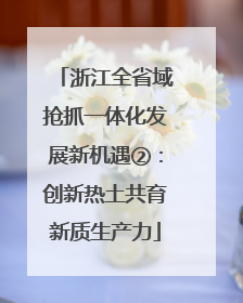 浙江全省域抢抓一体化发展新机遇②：创新热土共育新质生产力