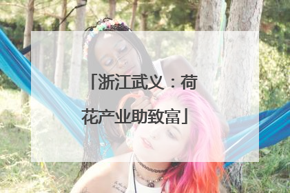浙江武义：荷花产业助致富