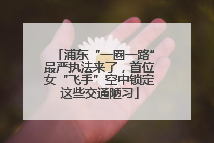 浦东“一圈一路”最严执法来了，首位女“飞手”空中锁定这些交通陋习