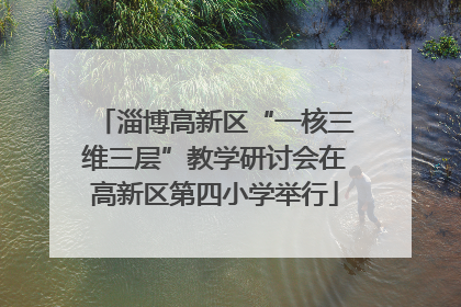 淄博高新区“一核三维三层”教学研讨会在高新区第四小学举行