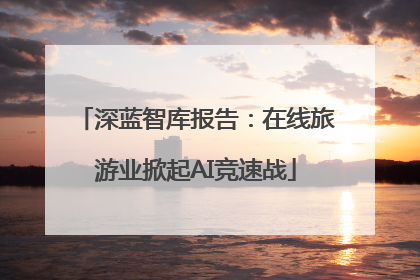 深蓝智库报告：在线旅游业掀起AI竞速战