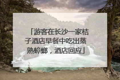 游客在长沙一家桔子酒店早餐中吃出蒸熟蟑螂，酒店回应