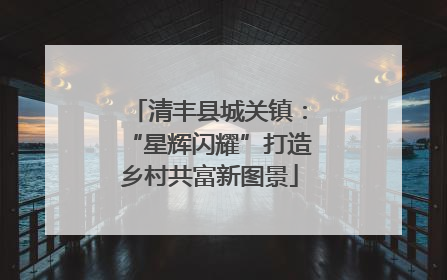 清丰县城关镇：“星辉闪耀”打造乡村共富新图景