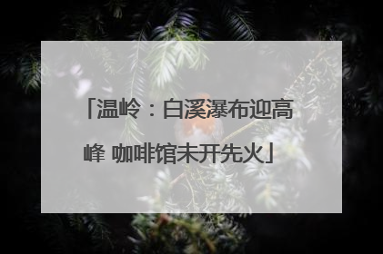 温岭：白溪瀑布迎高峰 咖啡馆未开先火