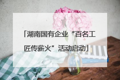 湖南国有企业“百名工匠传薪火”活动启动