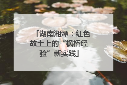 湖南湘潭：红色故土上的“枫桥经验”新实践
