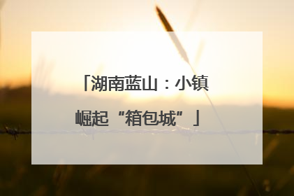 湖南蓝山：小镇崛起“箱包城”