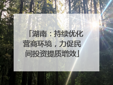 湖南：持续优化营商环境，力促民间投资提质增效