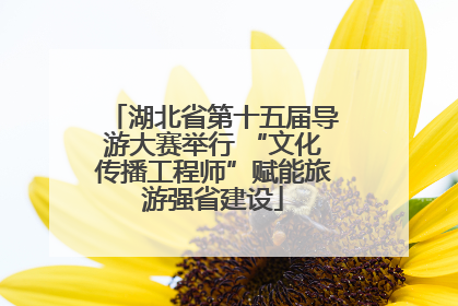 湖北省第十五届导游大赛举行 “文化传播工程师”赋能旅游强省建设