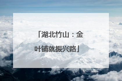 湖北竹山：金叶铺就振兴路