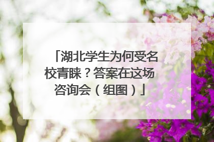 湖北学生为何受名校青睐？答案在这场咨询会（组图）
