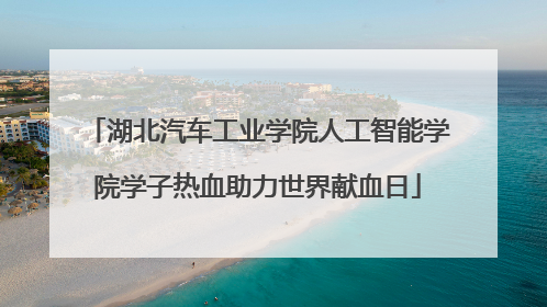 湖北汽车工业学院人工智能学院学子热血助力世界献血日