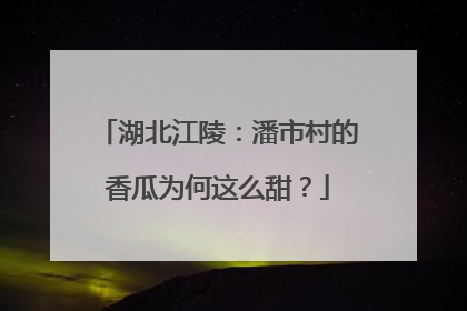 湖北江陵：潘市村的香瓜为何这么甜？