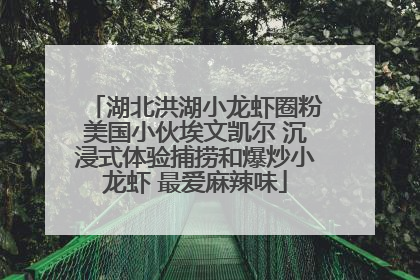 湖北洪湖小龙虾圈粉美国小伙埃文凯尔 沉浸式体验捕捞和爆炒小龙虾 最爱麻辣味