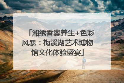 湘绣香囊养生+色彩风暴：梅溪湖艺术博物馆文化体验盛宴