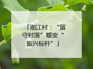 湘江村：“留守村落”蝶变“振兴标杆”