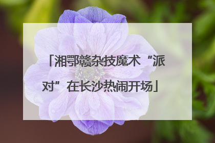 湘鄂赣杂技魔术“派对”在长沙热闹开场