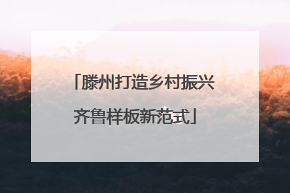 滕州打造乡村振兴齐鲁样板新范式