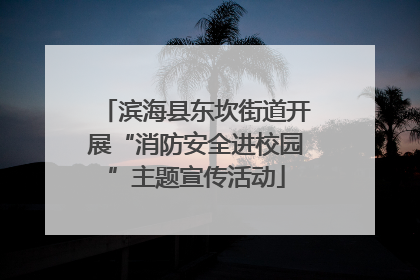 滨海县东坎街道开展“消防安全进校园”主题宣传活动