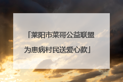 莱阳市菜哥公益联盟为患病村民送爱心款