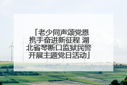 老少同声颂党恩 携手奋进新征程 湖北省琴断口监狱民警开展主题党日活动