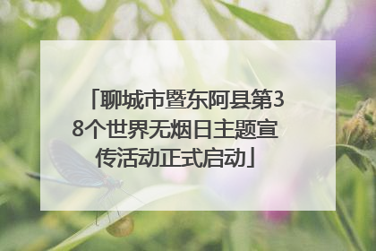 聊城市暨东阿县第38个世界无烟日主题宣传活动正式启动