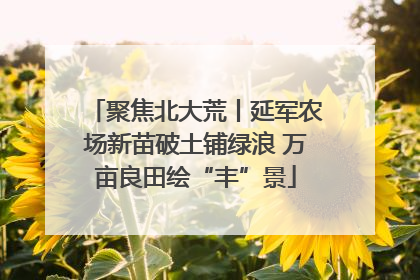 聚焦北大荒丨延军农场新苗破土铺绿浪 万亩良田绘“丰”景