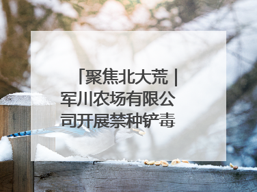 聚焦北大荒｜军川农场有限公司开展禁种铲毒排查宣传行动