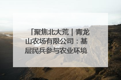 聚焦北大荒｜青龙山农场有限公司：基层民兵参与农业环境综合治理显效
