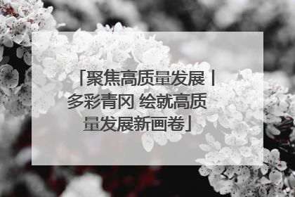聚焦高质量发展丨多彩青冈 绘就高质量发展新画卷