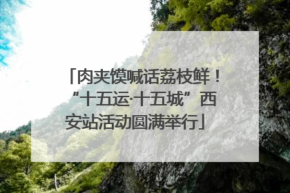 肉夹馍喊话荔枝鲜！“十五运·十五城”西安站活动圆满举行
