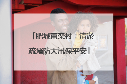 肥城南栾村：清淤疏堵防大汛保平安