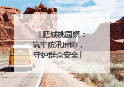 肥城桃园镇：筑牢防汛屏障，守护群众安全