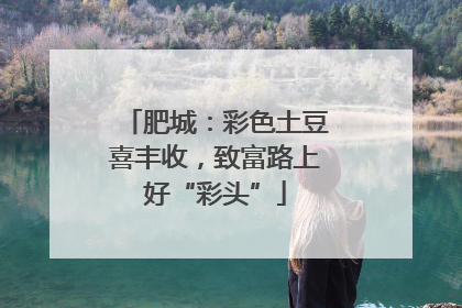 肥城：彩色土豆喜丰收，致富路上好“彩头”