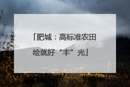 肥城：高标准农田绘就好“丰”光