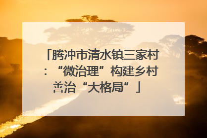 腾冲市清水镇三家村：“微治理”构建乡村善治“大格局”