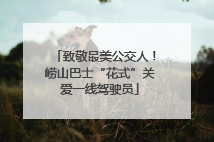 致敬最美公交人！崂山巴士“花式”关爱一线驾驶员