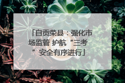 自贡荣县：强化市场监管 护航“三考”安全有序进行