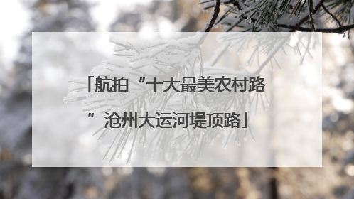 航拍“十大最美农村路”沧州大运河堤顶路