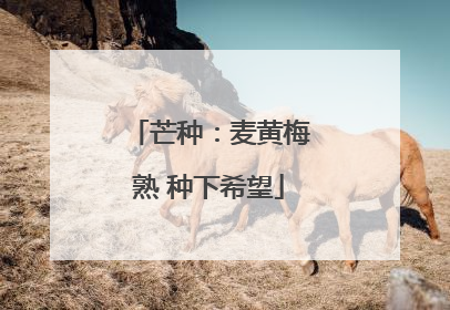 芒种：麦黄梅熟 种下希望