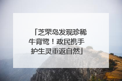 芝罘岛发现珍稀牛背鹭！政民携手护生灵重返自然