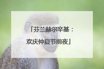 芬兰赫尔辛基：欢庆仲夏节前夜