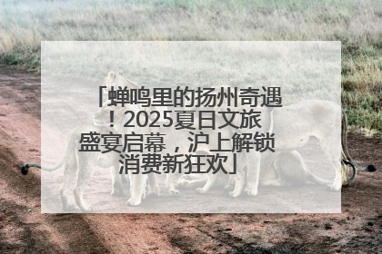 蝉鸣里的扬州奇遇！2025夏日文旅盛宴启幕，沪上解锁消费新狂欢
