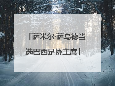 萨米尔·萨乌德当选巴西足协主席